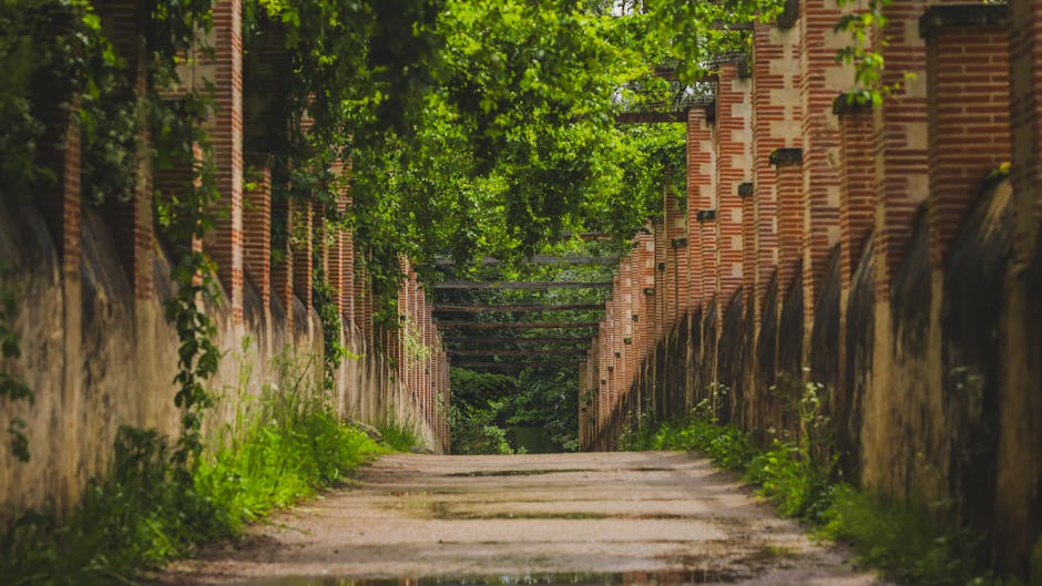 Professional brick walkway services